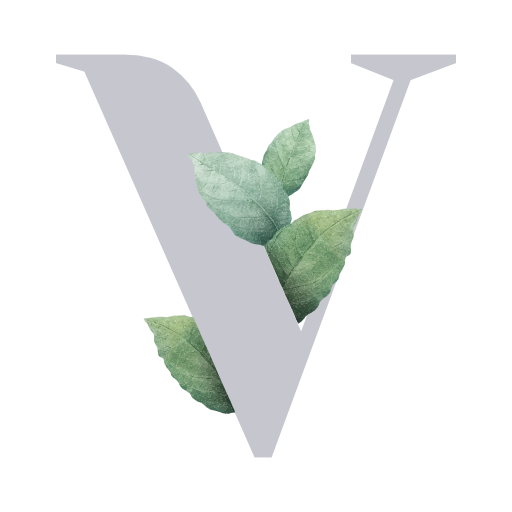 Venzia Studio